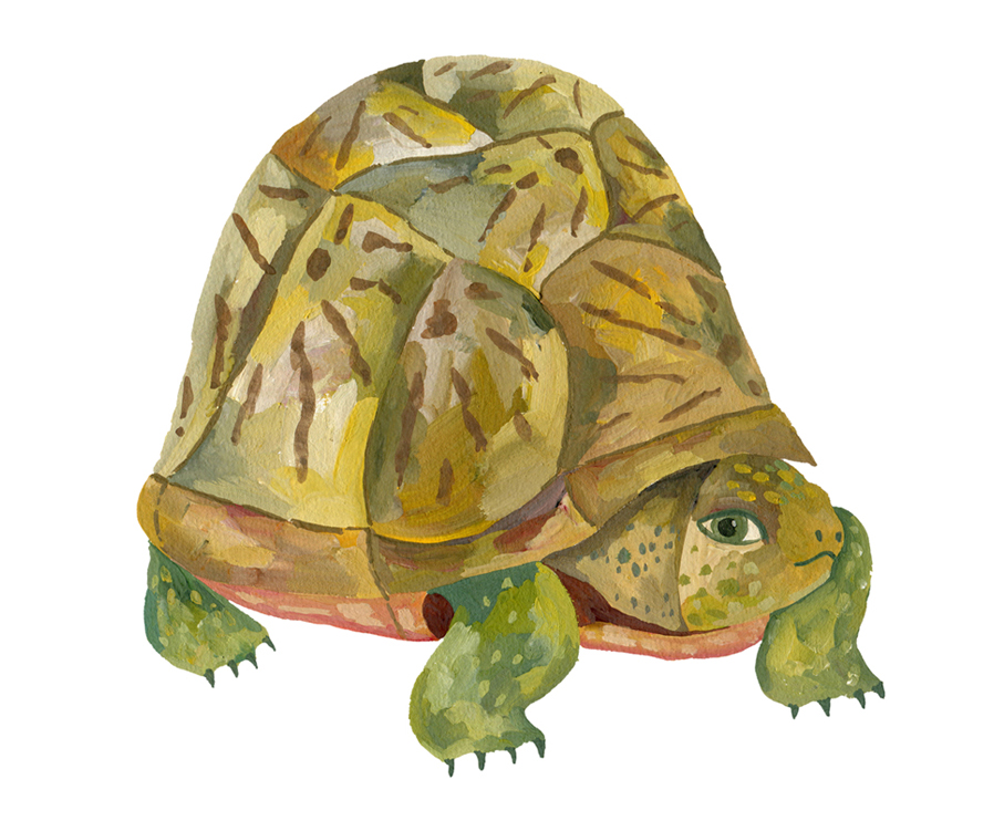 painting, illustration, gouache, illustrator, animals, picture book, illustrator